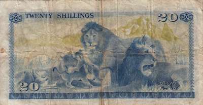 Beschrijving achterzijde: LIONS
